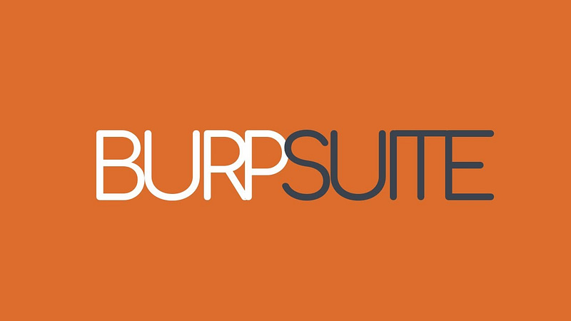 Using Burp Suite